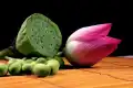 红湘莲图片