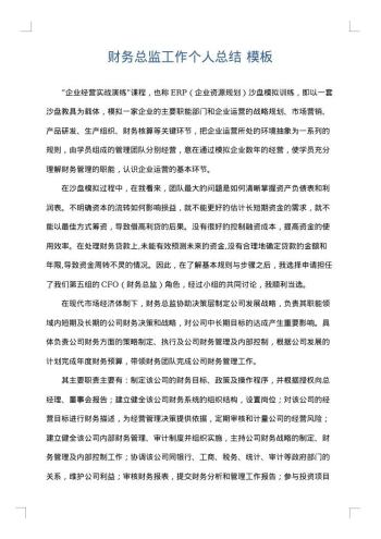 财务总监工作个人总结