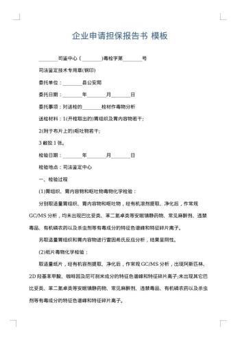 企业申请担保报告书