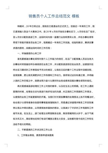 销售员个人工作总结范文