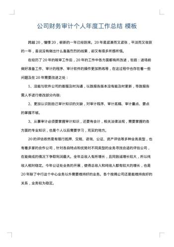 公司财务审计个人年度工作总结