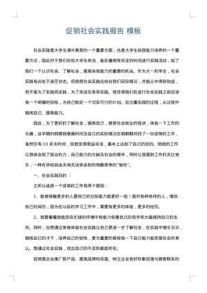 促销社会实践报告