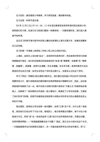 小学见习报告格式