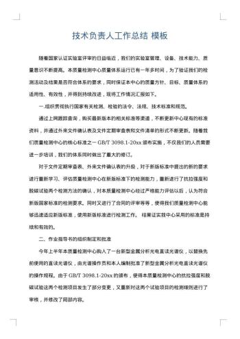 技术负责人工作总结