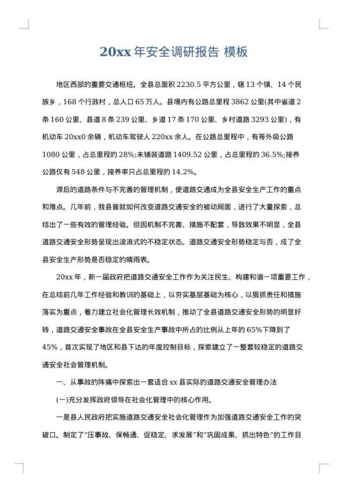 2025年安全调研报告
