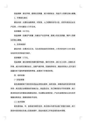 村脱贫计划书
