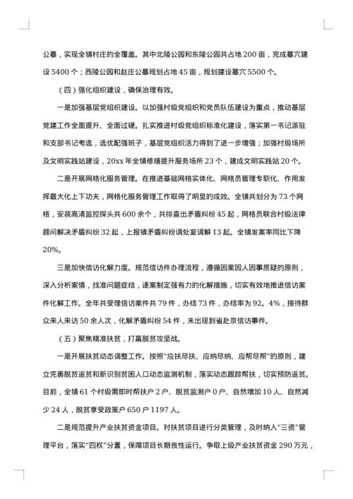 2025年乡村振兴专干工作总结