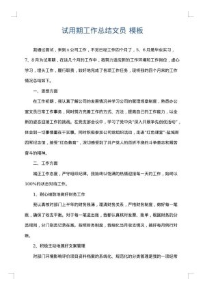 试用期工作总结文员