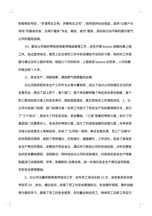 燃气安全整治百日行动总结