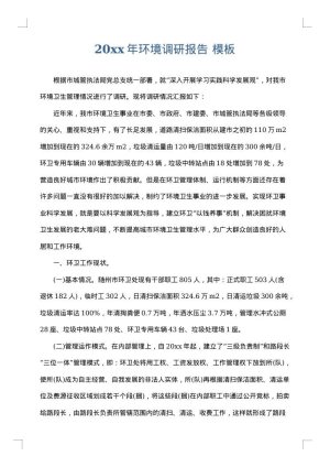 2025年环境调研报告