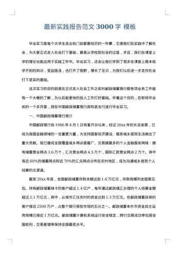 最新实践报告范文3000字