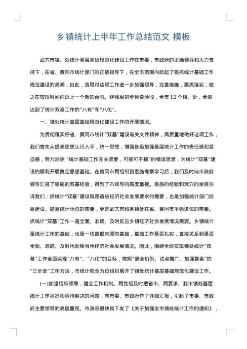 乡镇统计上半年工作总结范文
