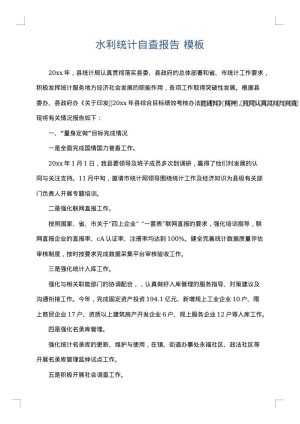 水利统计自查报告
