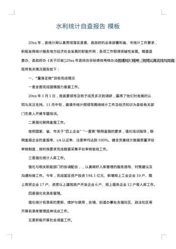 水利统计自查报告