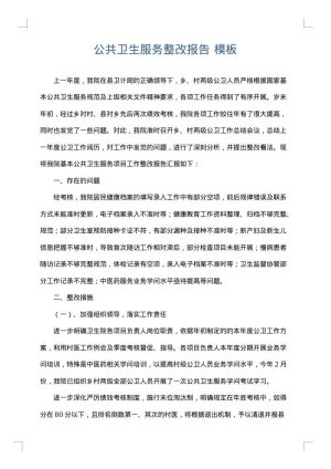 公共卫生服务整改报告