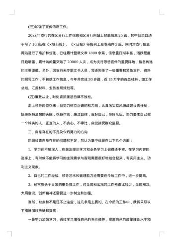 支行行长述职述廉报告