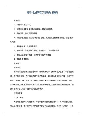审计助理实习报告