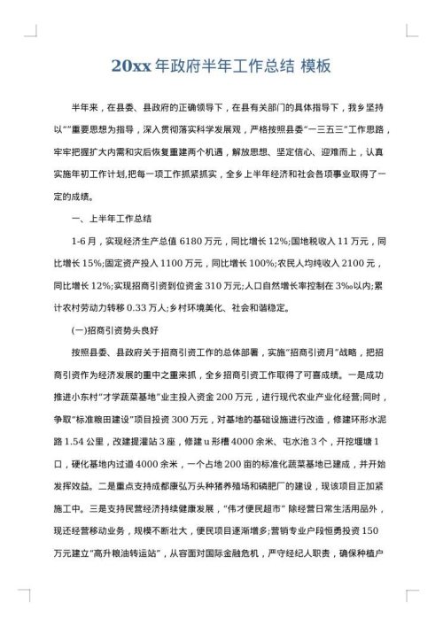 2025年政府半年工作总结