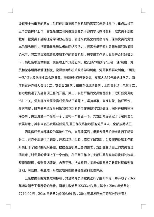 2025年党支部工作报告范文