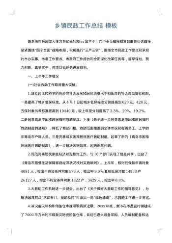 乡镇民政工作总结