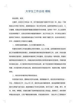 大学生工作总结