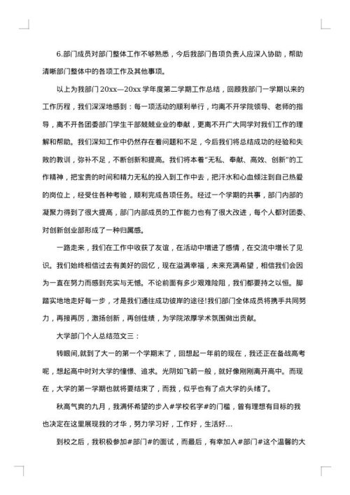 大学部门工作总结格式