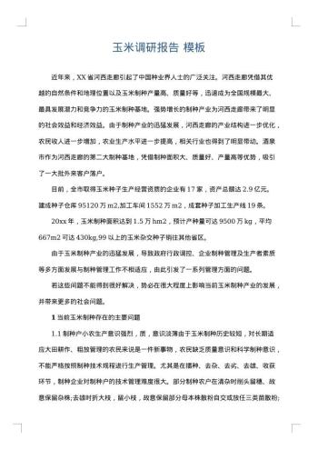 玉米调研报告