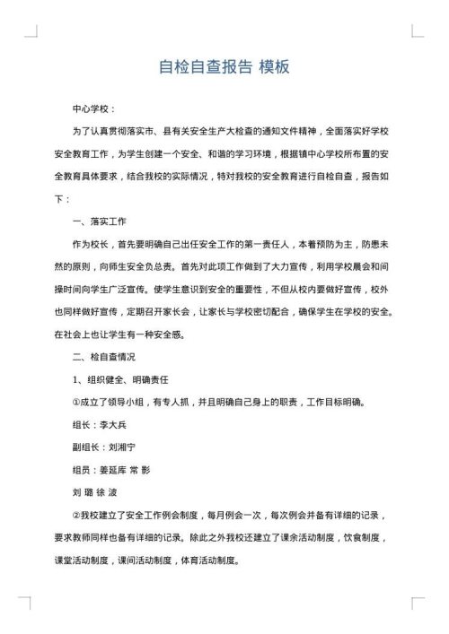 自检自查报告