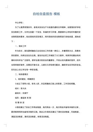 自检自查报告