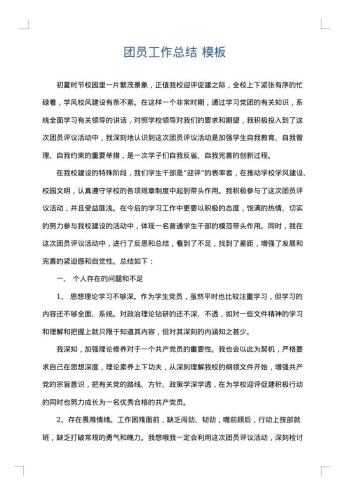 团员工作总结