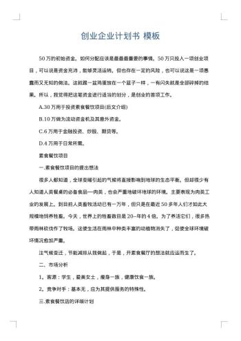 创业企业计划书
