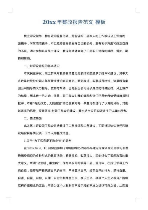 2025年整改报告范文