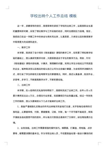 学校出纳个人工作总结