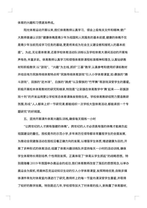 体育自查报告