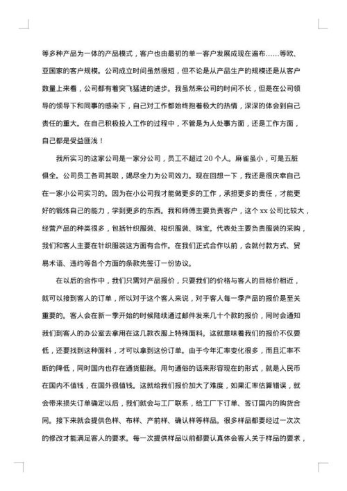 业务员工作总结范文