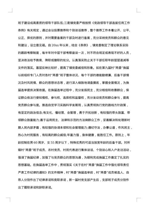 选人用人自查报告