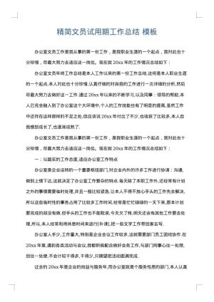 精简文员试用期工作总结