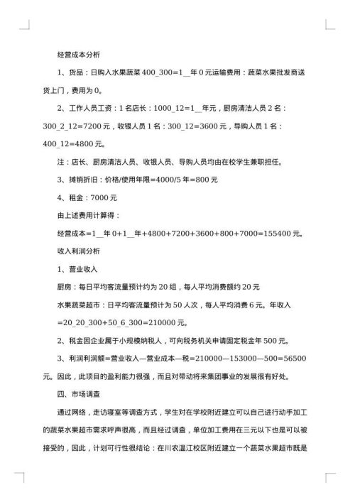 2025年字创业计划书