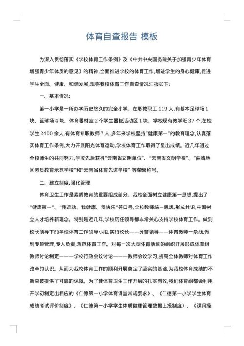 体育自查报告