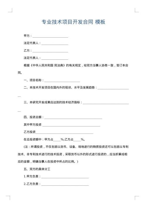 专业技术项目开发合同