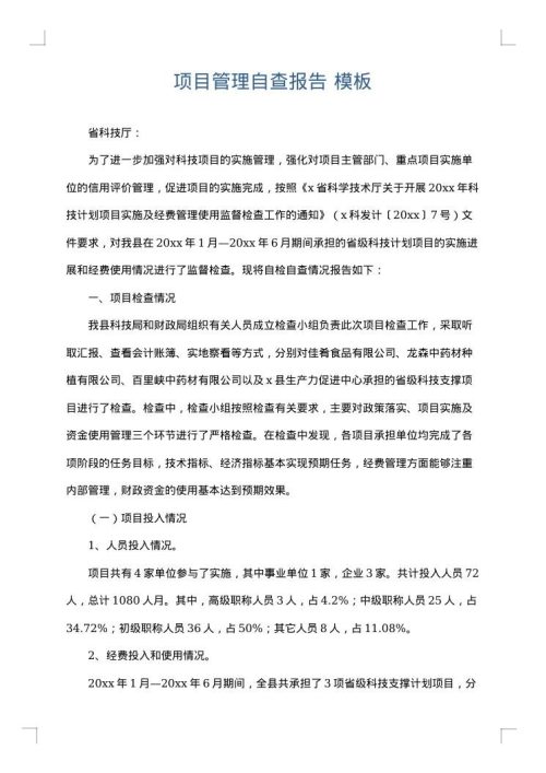 项目管理自查报告