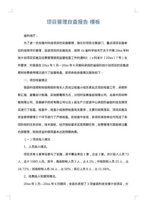 项目管理自查报告