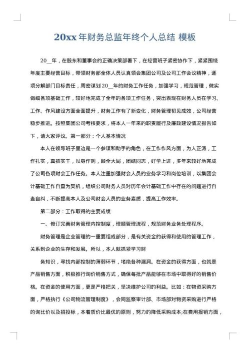 2025年财务总监年终个人总结