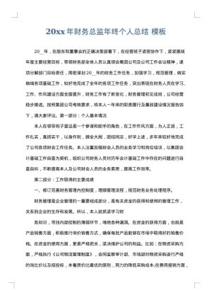 2025年财务总监年终个人总结