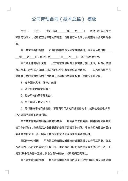 公司劳动合同（技术总监）