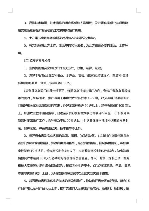 2025年的技术服务合同