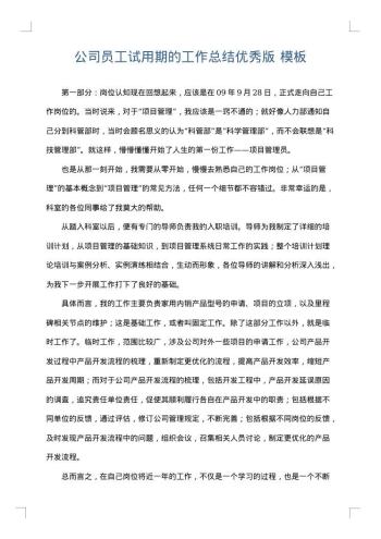 公司员工试用期的工作总结优秀版