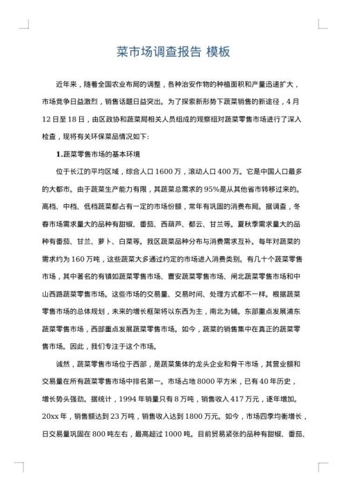 菜市场调查报告