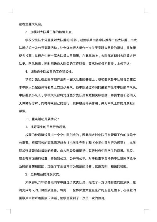 2025年少先队年度总结