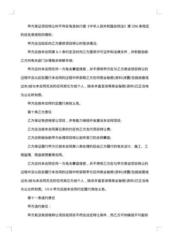 项目转让合同范本